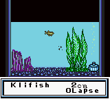 Legend of the River King GB (USA) In game screenshot